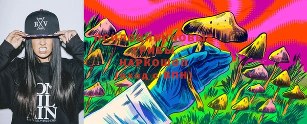 винт Аркадак