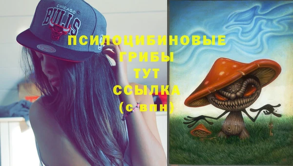 первитин Армянск