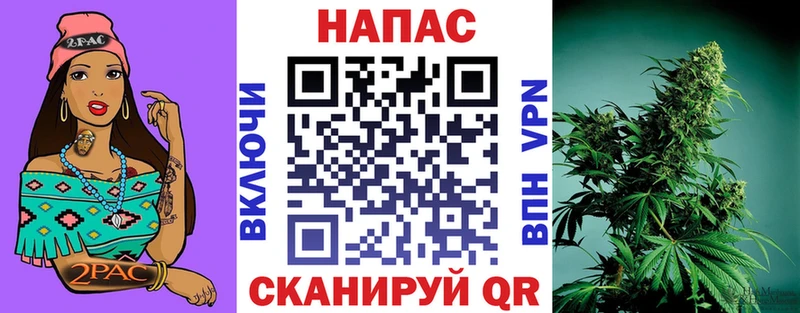 закладки Сальск мега вход Шишки марихуана сатива